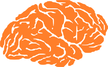 Memtech Logo of Orange Brain